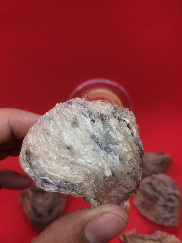 YẾN ĐẢO THIÊN NHIÊN NGUYÊN THỦY 100% - Hộp 50 & 100GR