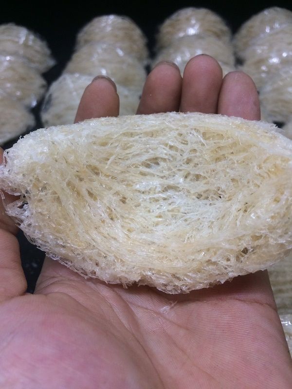 Tổ Tinh Chế Đặc Biệt Sợi 2 Mặt  - Hộp 50 & 100GR
