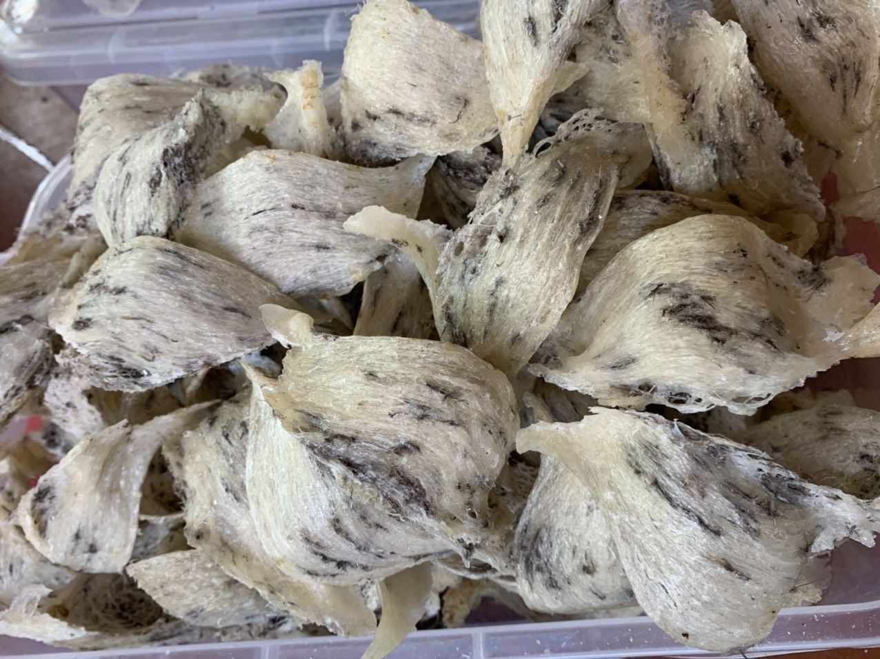 TỔ YẾN THÔ LOẠI 2 - Hộp 50 & 100 GR