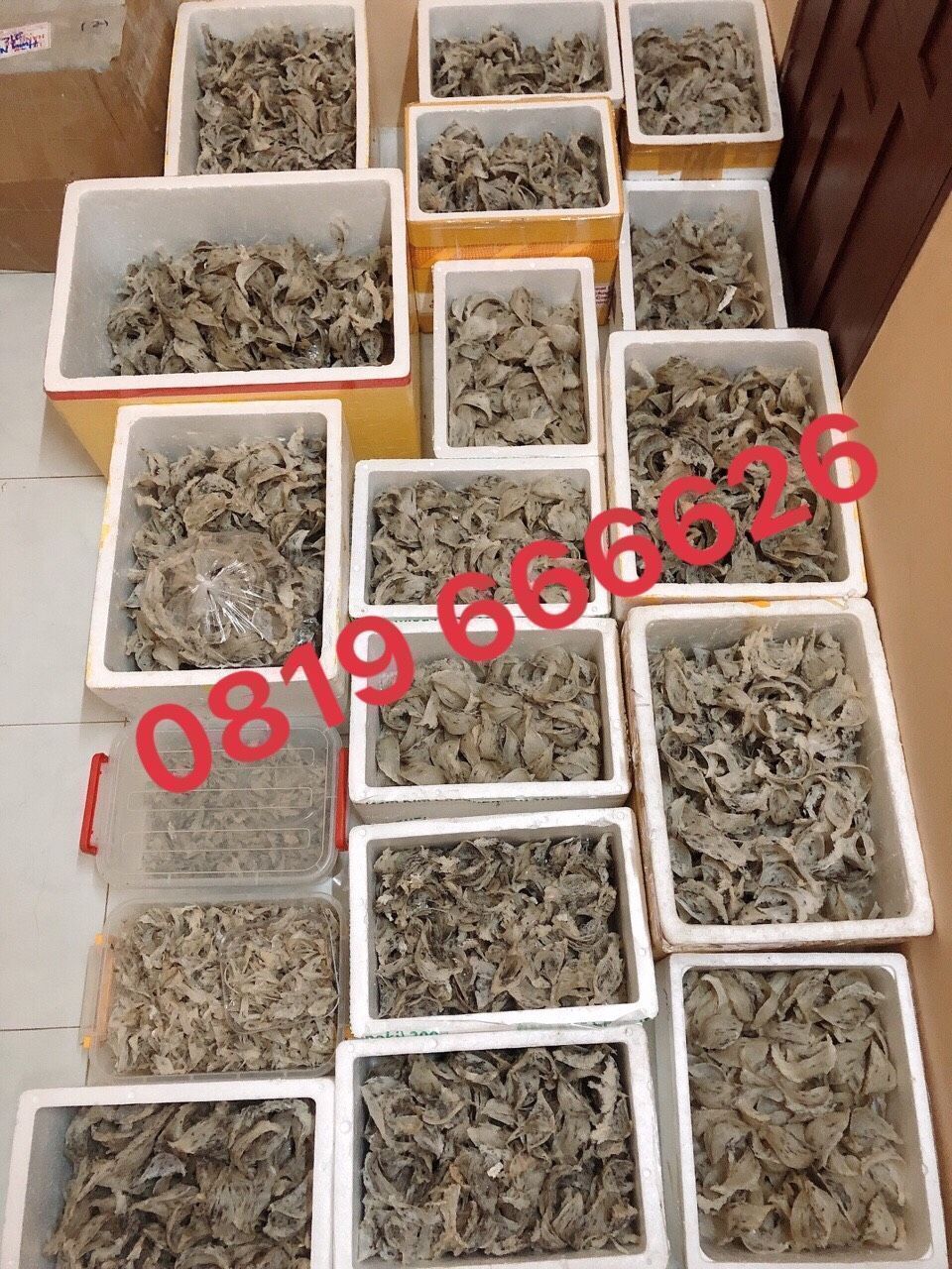 TỔ YẾN THÔ LOẠI 3 - Hộp 50 & 100 GR