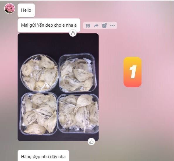 Tổ Yến Tai A ít Lông 50gr & 100gr + Quà Tặng - Yến thô nguyên tổ
