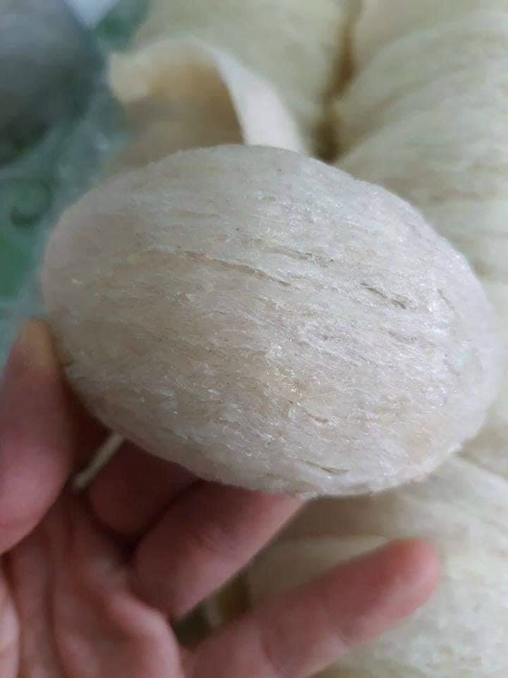 TỔ YẾN RÚT LÔNG ĐỊNH HÌNH - Hộp 100GR