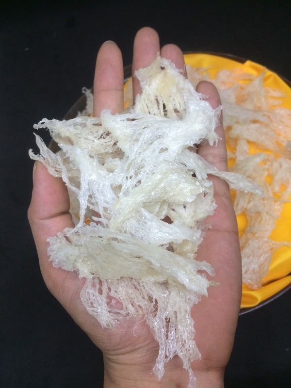 Chân Tổ Yến Tinh Chế 50gr - 100gr + Quà .