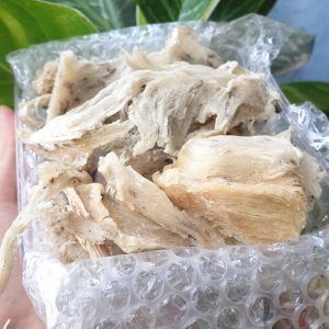 CHÂN YẾN CỒ [HỘP 100GR/50GR] CÓ QUÀ CHƯNG+ NHÍP-YẾN SÀO CÔ BA NGUYÊN CHẤT