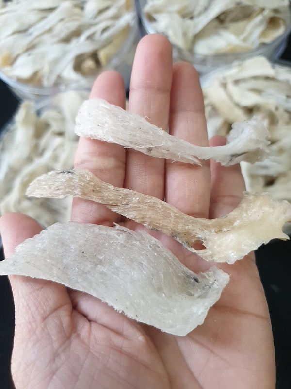 Chân Thô CoBA ( 50gr - 100gr ) + Nhíp Quà Tặng