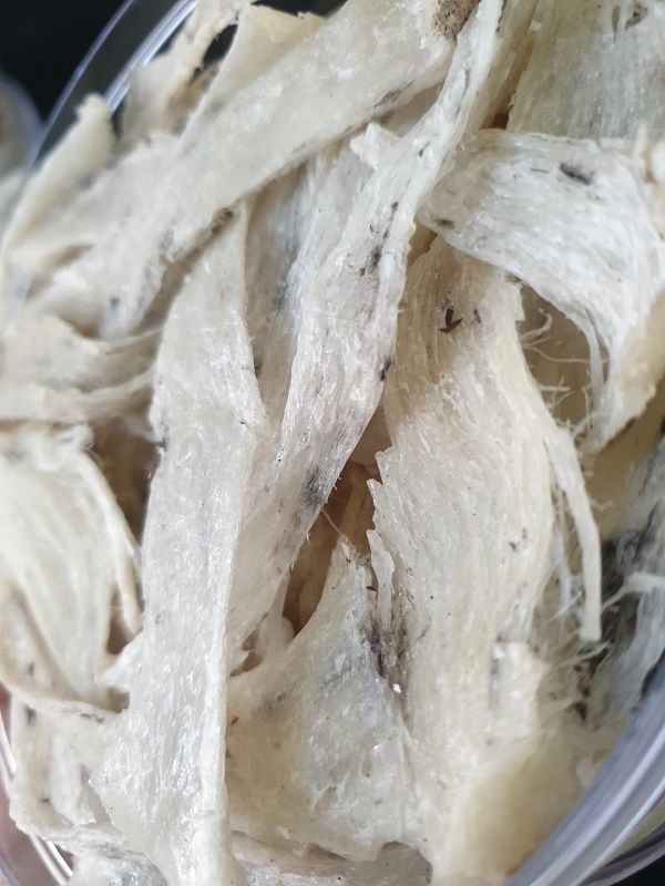 Chân Thô CoBA ( 50gr - 100gr ) + Nhíp Quà Tặng