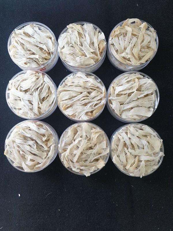 Chân Thô CoBA ( 50gr - 100gr ) + Nhíp Quà Tặng