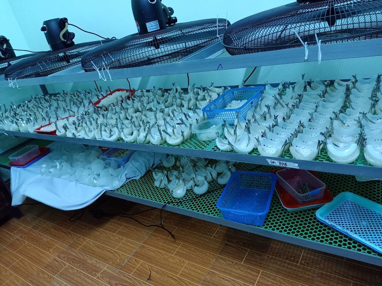Tổ Yến Tinh Chế Sợi Loại 2 - Hộp 50 & 100GR