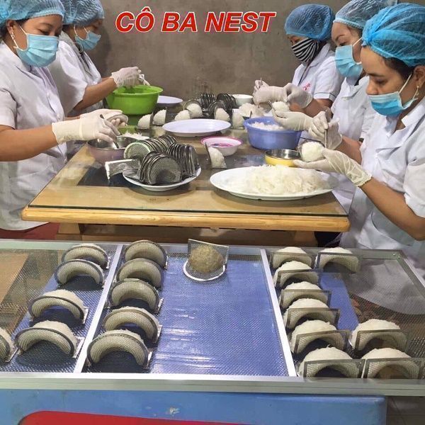 TỔ YẾN RÚT LÔNG ĐỊNH HÌNH - Hộp 100GR TỔ YẾN RÚT LÔNG ĐỊNH HÌNH - Hộp 100GR