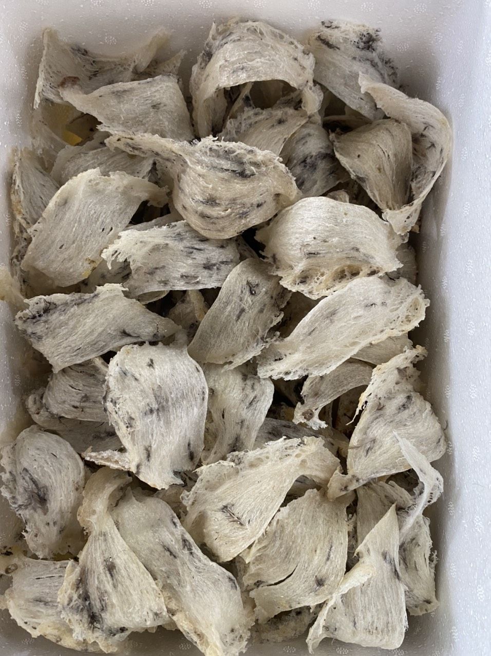 Tổ Yến Thô Loại 1 - Hộp 50 & 100 GR