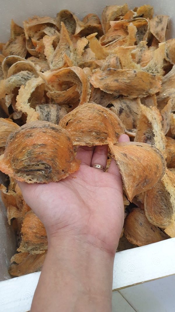 Hồng Huyết Thô Cồ - Hộp 50 & 100 GR