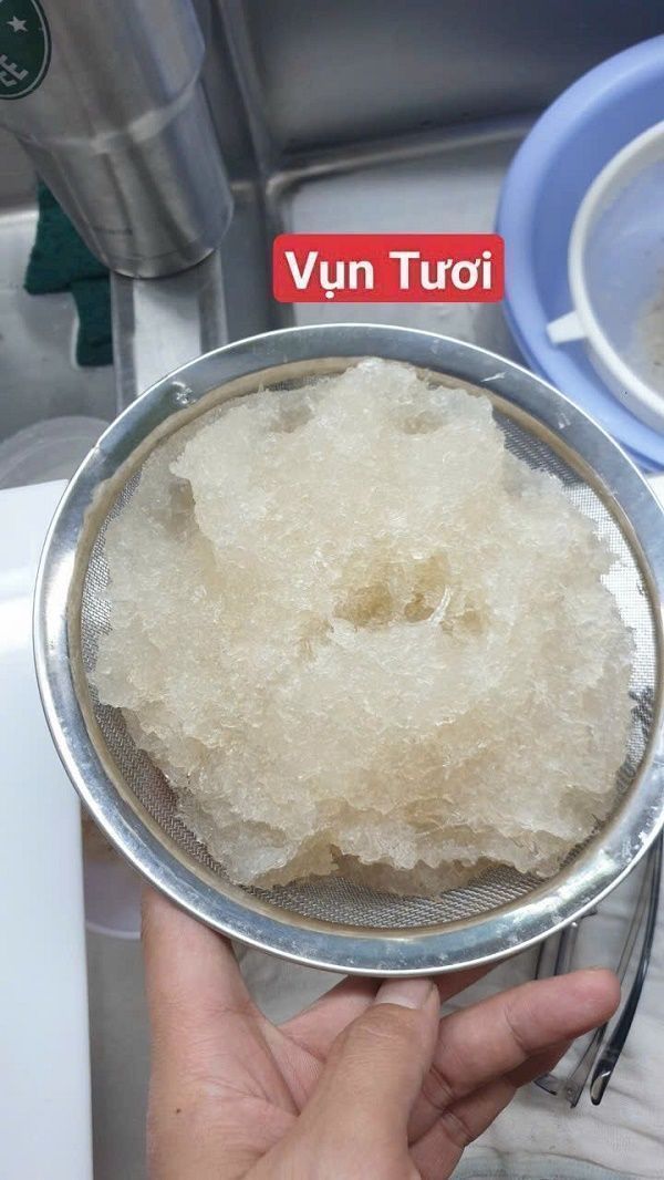 Tổ Yến Vụn Loại 1 [Hộp 50/100 Gram] [Có Quà Chưng ]  YẾN SÀO CÔ BA