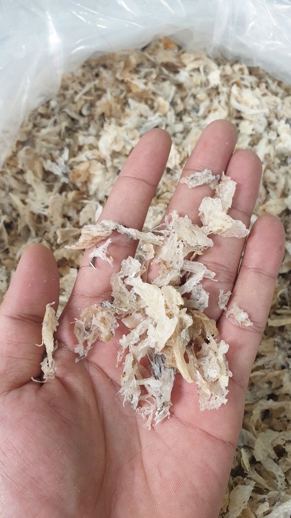 VỤN THÔ TO TỔ YẾN [Set 100GR/50GR] CÓ QUÀ CHƯNG+NHÍP- YẾN SÀO CÔ BA NGUYÊN CHẤT