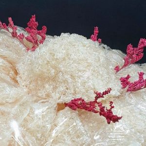 Z4413992947358 332eaade35629f7bfe4ec77b80882c96