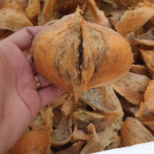 Z3347299715159 2a361605b1906fa3c028fbac42797357