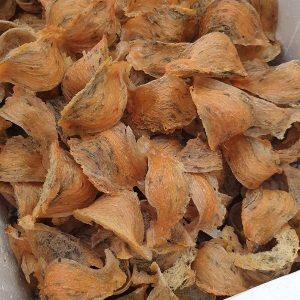 Z3347299729579 440165ab90d2135b6dccf802ce59e8a5