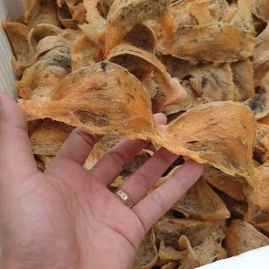 Z3347299746940 00a18e6261307f83ccb2878b320cb7c3