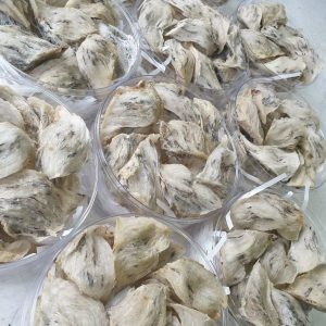 Z5039247740261 02fda51653779e843afedb4bb2d6eb5c