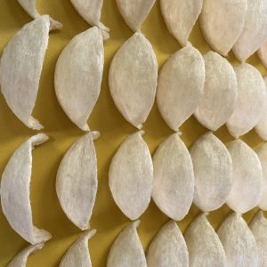 Z2651434566995 Ec417d5762bbccf341b7448393f9d2e9