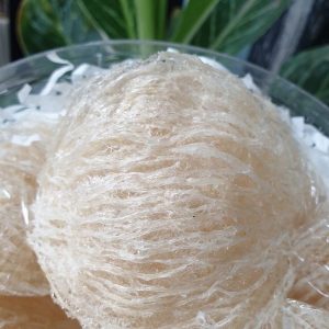 Tổ Yến Tinh Chế Loại Sợi Nguyên Chất