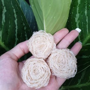 Z5128447138546 887675720ade1879628633a8408f13c8