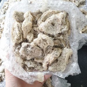 Z5073201021153 6fa57cb82a600eab3ecf91d033333809