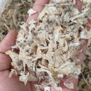 Z5179490310898 957823d34c4798416141a5a9e6d72190