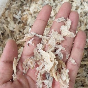 Z5179490312023 28d0570b11954ced2a7b8cdbd82f52f4