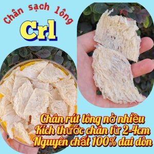 Z6669588981602 51bfc1de2c669fab99018608d19e7832