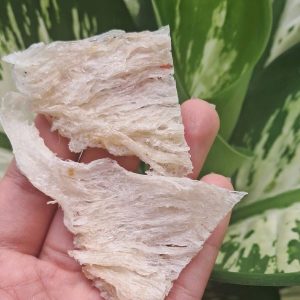 Z6669589006662 Db7424ce58e5937e5383a07fd4ec9bb3