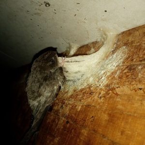 Z2165170885748 52f680ddd30824f3629f453ff384fc0e