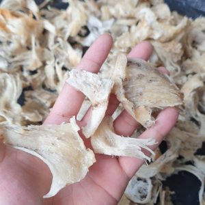 Z4199386593458 Ab5c46a55dbb1b2c065ee4931f587eb2