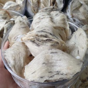 Z5218578458383 8193f61615c397c2cc3d52c47cf9b910